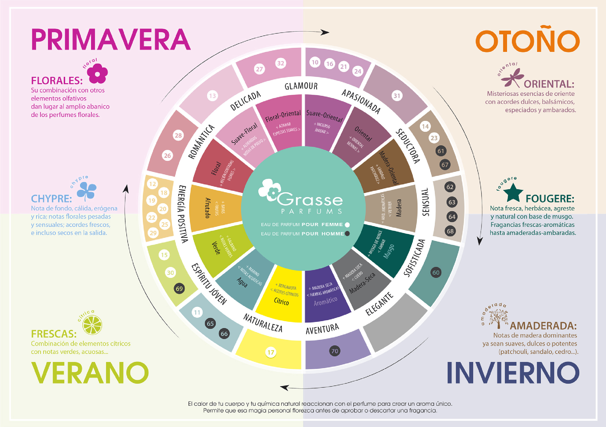 Clasificación olfativa
